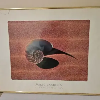 Framed "Chambered Nautilus" Print - James Randklev