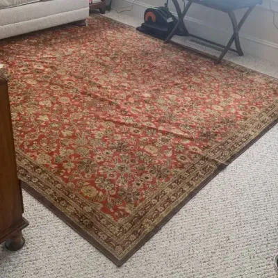 Persian-style Area Rug