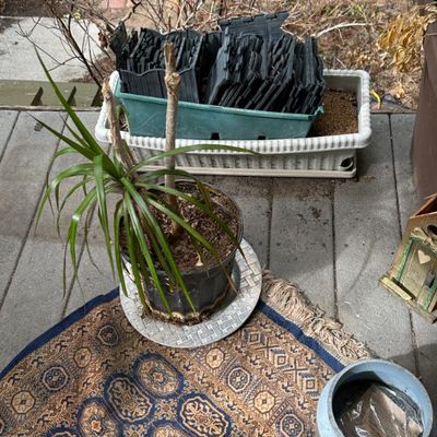 Sale Photo Thumbnail #265