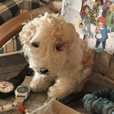 Sale Photo Thumbnail #176