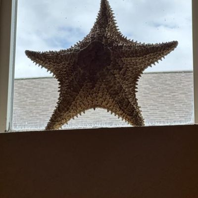 Sale Photo Thumbnail #306