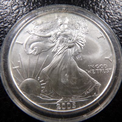 2005 AMERICAN SILVER EAGLE DOLLAR