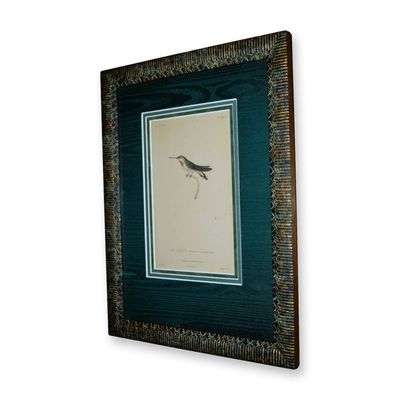 Sale Photo Thumbnail #335: Le Sasin, Prenant Sa Troisieme Hummingbird Teillard Birds, Original HC Engraving, Custom Frame, 19th