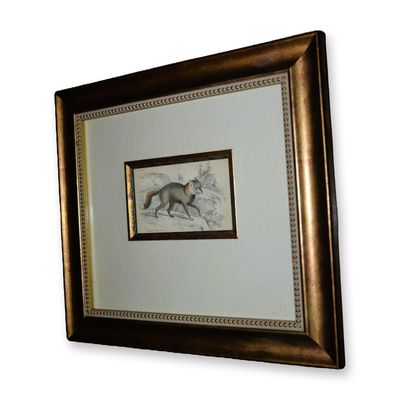 Sale Photo Thumbnail #106: Lizars American Cross Fox, Hand Colored Engraving, Custom Frame, 19th C