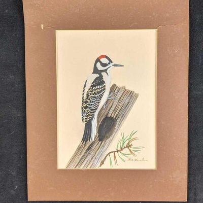 Downy Woodpecker by Karl Karalus