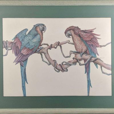 Large Framed Colorful Parrots Print P Breut Tropical