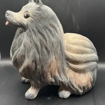 Textured Pomeranian Dog 