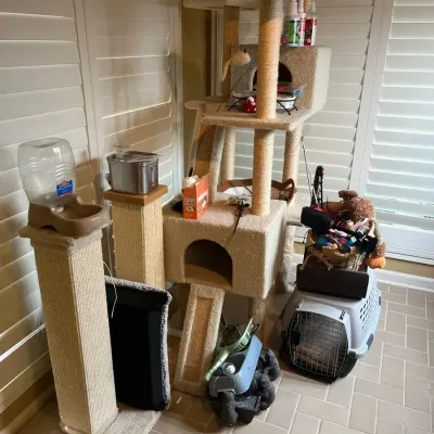 The Ultimate Cat Corner