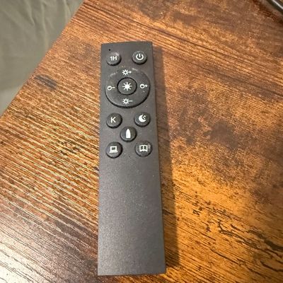 Floor Lamp w/remote (this is a 2nd lamp)