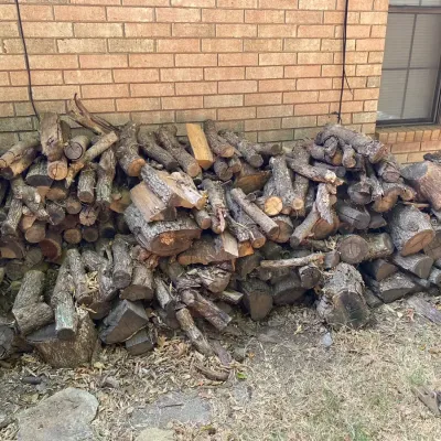 Fire Wood #2