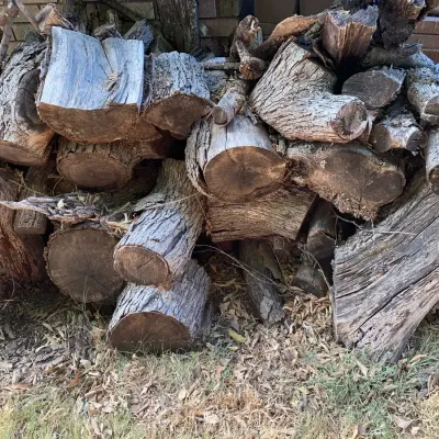 Fire Wood #1