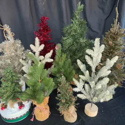 Small Christmas Trees