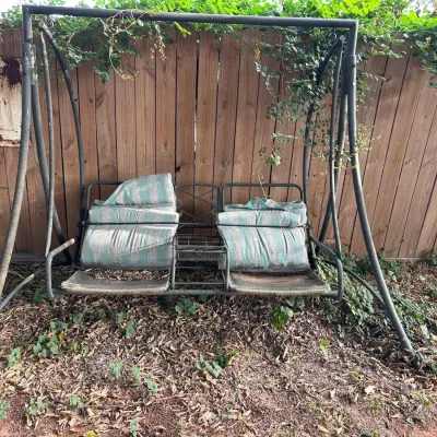 Dual Swing