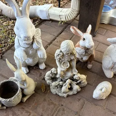 Rabbits