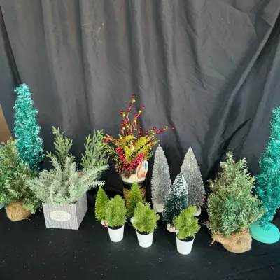 Trees Everywhere 