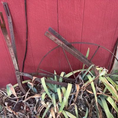 Cultivator