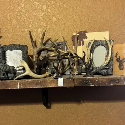 Antlers And More Antlers