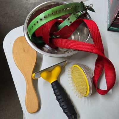 Pet care items