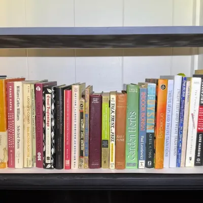 FTH351 - Mystery Lot of Books