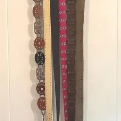 FTH317 - Assortment of Belts ( Clothes Clothing )