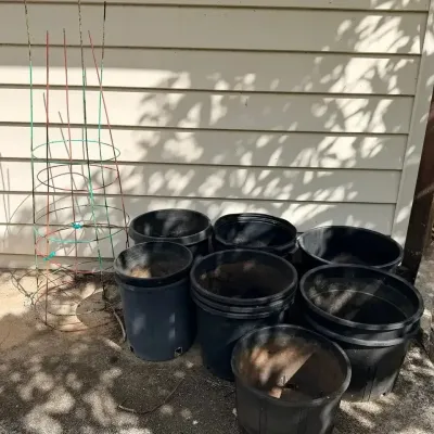 FTH394 - Medium Sized pots and a 2 Growing Trellis - Mystery Lot ( Pots / Garden )