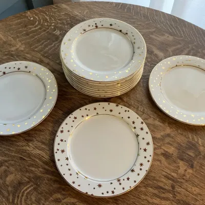 12 Galaxy White Fine Porcelain Dinner Plates by Sakura