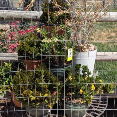 Sale Photo Thumbnail #1171