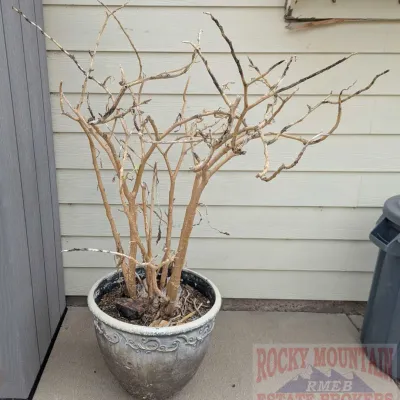 Sale Photo Thumbnail #1158