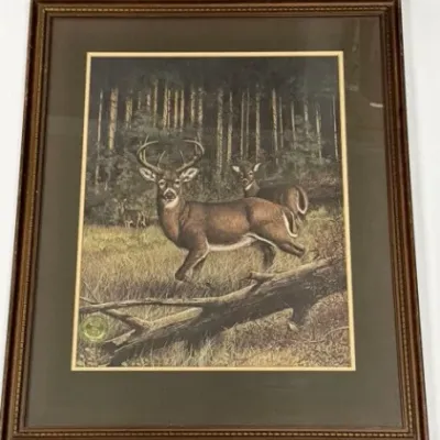 Sale Photo Thumbnail #172