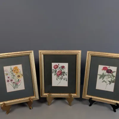 Sale Photo Thumbnail #354