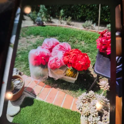 Sale Photo Thumbnail #49
