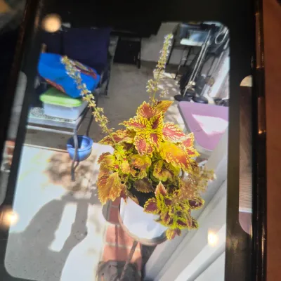 Sale Photo Thumbnail #66