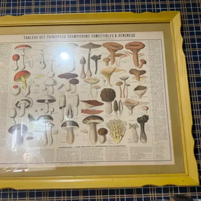Sale Photo Thumbnail #182