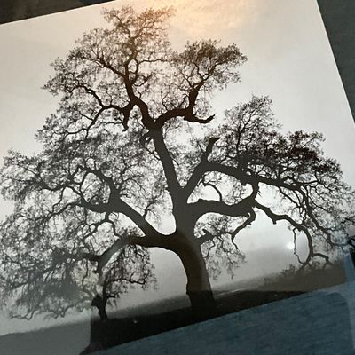 Sale Photo Thumbnail #50
