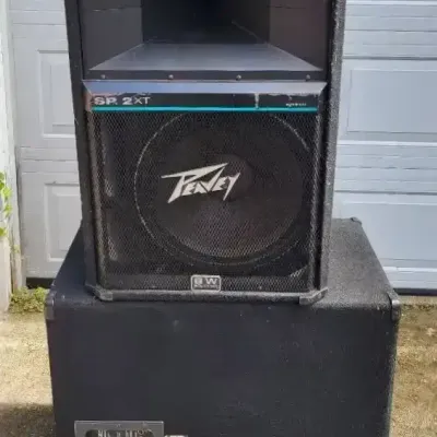 Peavey PA Speakers (G)