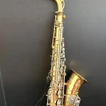 Vito Alto Saxophone (LR)