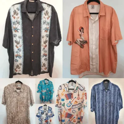 Men's Hawaiian Shirts (LR)