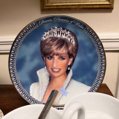 Princess Diana collector plate