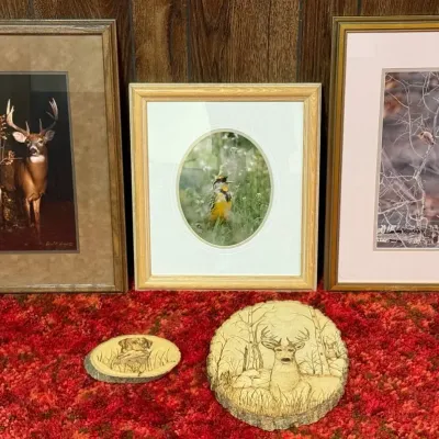 Sale Photo Thumbnail #5