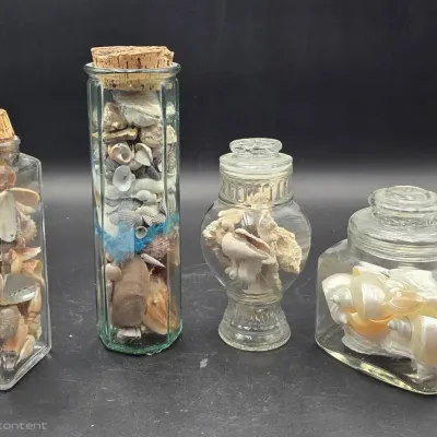 4 Decorative Seashell & Coral Collections in Glass Apothecary & Specimen Jars
