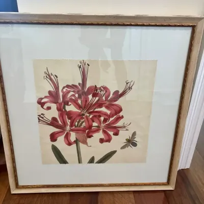 Framed Botanical Floral Print with Bee