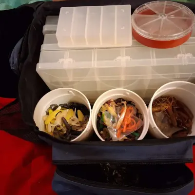 Fishing Tackle Bag with Lures & Organizers
