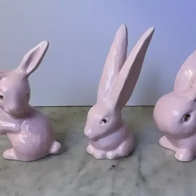 SylvaC Pink Gloss Bunny’s 