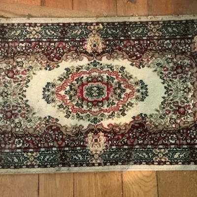 Courista Omar Wool Oriental Pattern Rug 2' x 4'6"