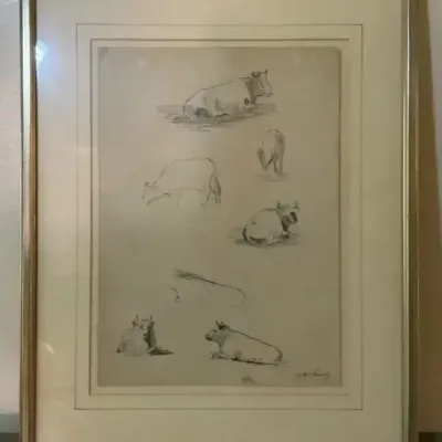 Antique Drawings of Cows 16.5"h x 13.5"w