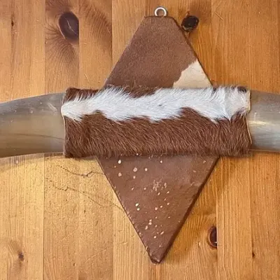 Bull Horns with Wall Mount