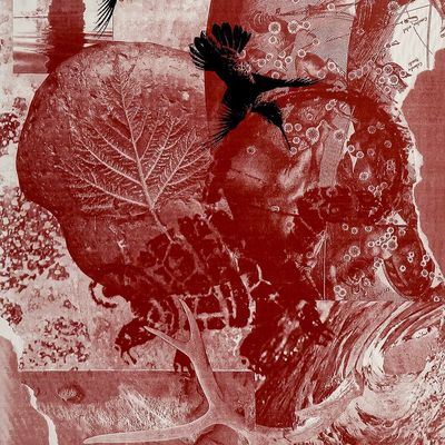 Sale Photo Thumbnail #238: Rebecca Baird, Lithograph, Pertaining to the Earth #2, Signed & Numbered