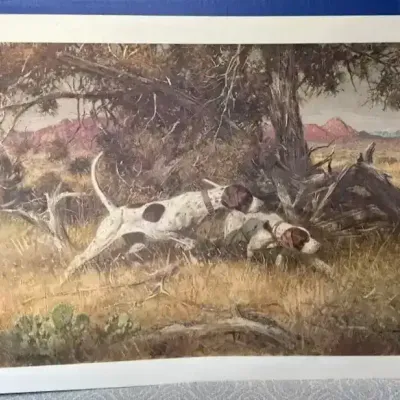 Hunting Dogs by Robert K. Abbett