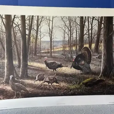 Early Spring - Wild Turkeys By Maynard Reece 1981