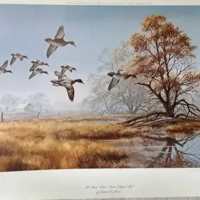 The Farm Pond - Green Winged Teal By David A. Maass